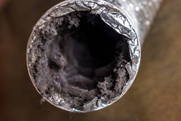 Best Local Air Duct Cleaning Services  in Port Wentworth, GA